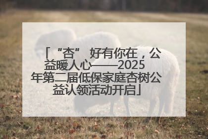 “杏” 好有你在，公益暖人心——2025 年第二届低保家庭杏树公益认领活动开启