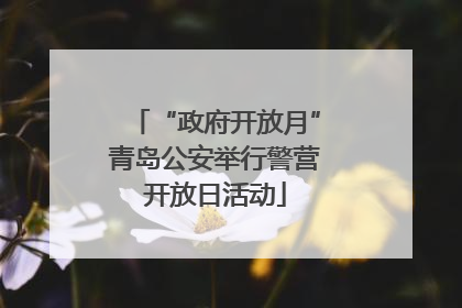 “政府开放月”青岛公安举行警营开放日活动
