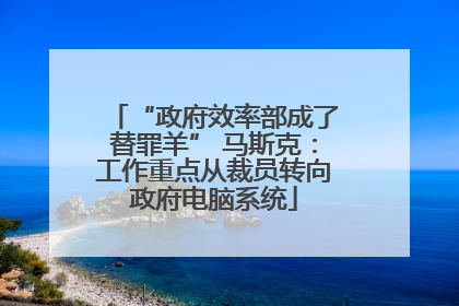 “政府效率部成了替罪羊” 马斯克：工作重点从裁员转向政府电脑系统