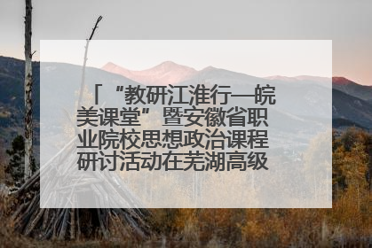 “教研江淮行—皖美课堂”暨安徽省职业院校思想政治课程研讨活动在芜湖高级职业技术学校举行