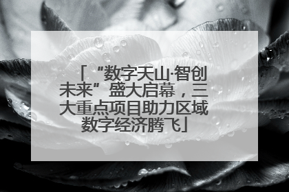 “数字天山·智创未来”盛大启幕，三大重点项目助力区域数字经济腾飞
