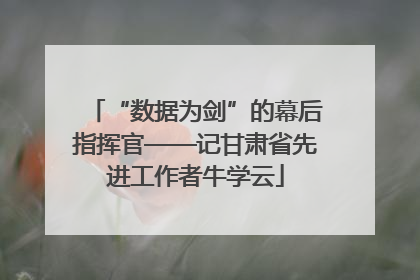 “数据为剑”的幕后指挥官——记甘肃省先进工作者牛学云
