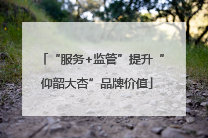 “服务+监管”提升“仰韶大杏”品牌价值
