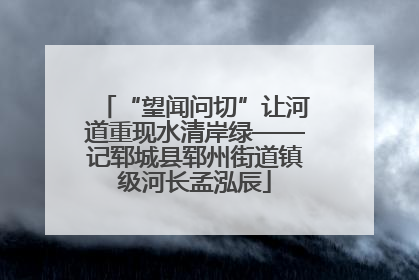 “望闻问切”让河道重现水清岸绿——记郓城县郓州街道镇级河长孟泓辰