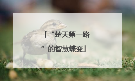 “楚天第一路”的智慧蝶变