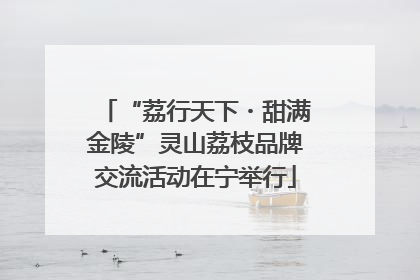 “荔行天下・甜满金陵”灵山荔枝品牌交流活动在宁举行