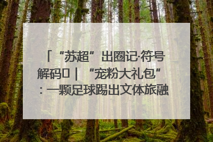 “苏超”出圈记·符号解码㉛｜“宠粉大礼包”：一颗足球踢出文体旅融合“链式反应”