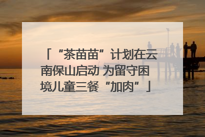 “茶苗苗”计划在云南保山启动 为留守困境儿童三餐“加肉”
