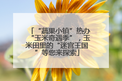 “蔬果小镇”热办“玉米奇遇季”，玉米田里的“迷宫王国”等您来探索