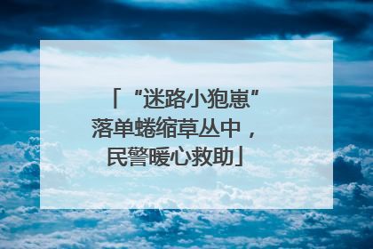 “迷路小狍崽”落单蜷缩草丛中，民警暖心救助