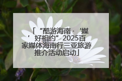 “酷游海南 ·‘媒’好相约”2025百家媒体海南行三亚旅游推介活动启动