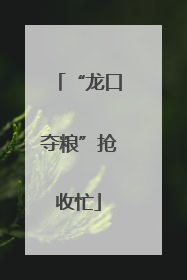 “龙口夺粮”抢收忙