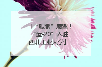 “鲲鹏”展翼！“运-20”入驻西北工业大学