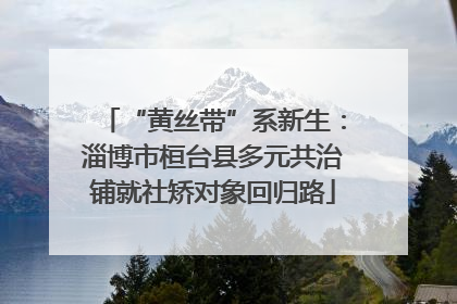 “黄丝带”系新生：淄博市桓台县多元共治铺就社矫对象回归路
