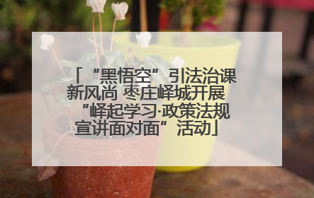 “黑悟空”引法治课新风尚 枣庄峄城开展“峄起学习·政策法规宣讲面对面”活动