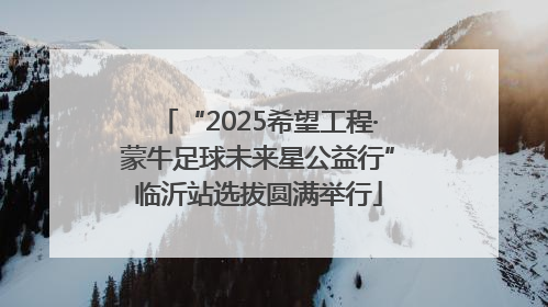 “2025希望工程·蒙牛足球未来星公益行”临沂站选拔圆满举行