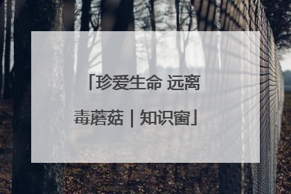 珍爱生命 远离毒蘑菇｜知识窗