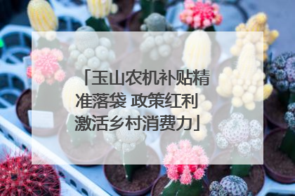 玉山农机补贴精准落袋 政策红利激活乡村消费力