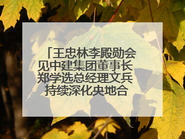 王忠林李殿勋会见中建集团董事长郑学选总经理文兵 持续深化央地合作 协力推动支点建设