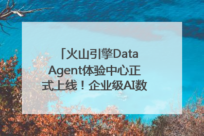 火山引擎Data Agent体验中心正式上线！企业级AI数据专家触手可及