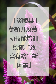 炎陵县十都镇开展劳动技能培训 绘就“致富有路”新图景