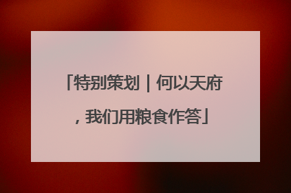 特别策划｜何以天府，我们用粮食作答