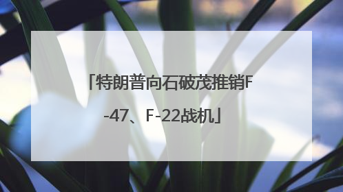 特朗普向石破茂推销F-47、F-22战机