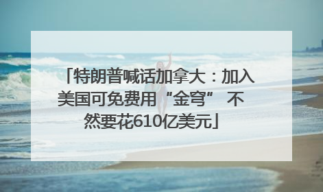 特朗普喊话加拿大：加入美国可免费用“金穹” 不然要花610亿美元