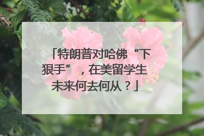 特朗普对哈佛“下狠手”，在美留学生未来何去何从？