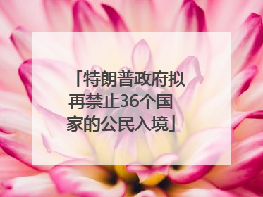 特朗普政府拟再禁止36个国家的公民入境