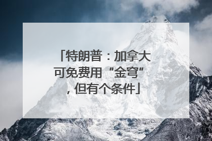 特朗普：加拿大可免费用“金穹”，但有个条件