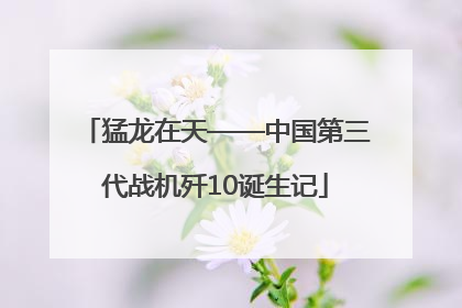 猛龙在天——中国第三代战机歼10诞生记