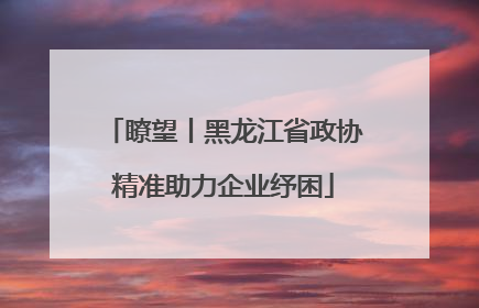 瞭望丨黑龙江省政协精准助力企业纾困