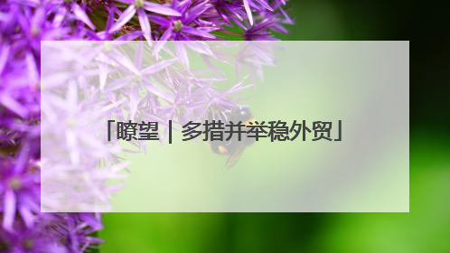 瞭望｜多措并举稳外贸