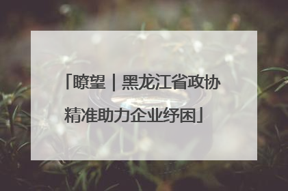 瞭望｜黑龙江省政协精准助力企业纾困