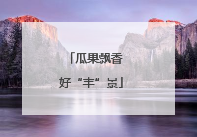 瓜果飘香 好“丰”景