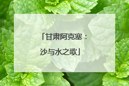 甘肃阿克塞：沙与水之歌