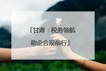 甘肃：税务领航 助企合规前行