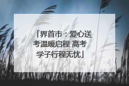 界首市：爱心送考温暖启程 高考学子行程无忧