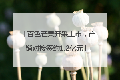 百色芒果开采上市，产销对接签约1.2亿元