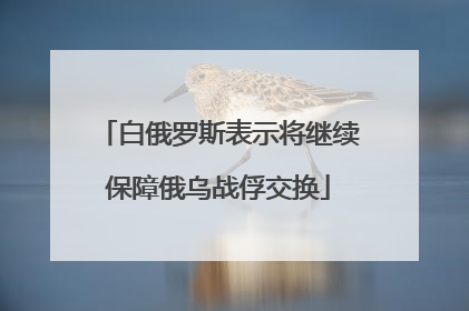 白俄罗斯表示将继续保障俄乌战俘交换
