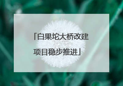 白果坨大桥改建项目稳步推进
