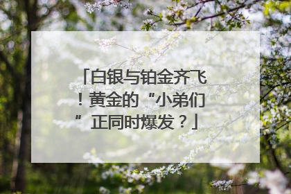 白银与铂金齐飞！黄金的“小弟们”正同时爆发？