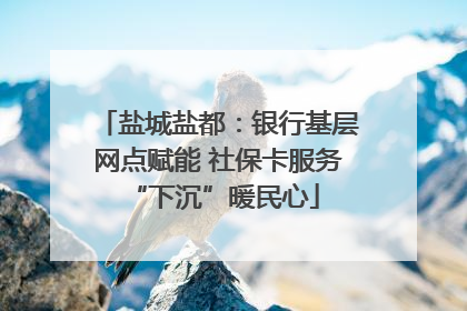 盐城盐都：银行基层网点赋能 社保卡服务 “下沉”暖民心