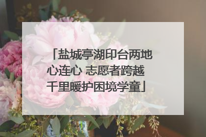 盐城亭湖印台两地心连心 志愿者跨越千里暖护困境学童