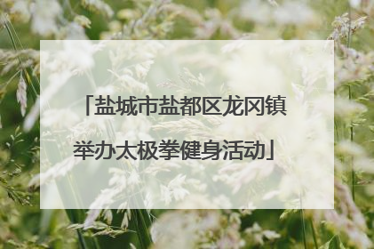 盐城市盐都区龙冈镇举办太极拳健身活动