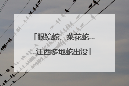 眼镜蛇、菜花蛇……江西多地蛇出没