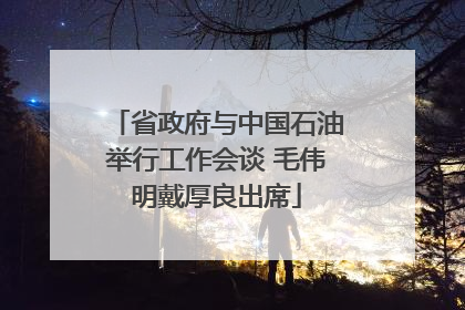 省政府与中国石油举行工作会谈 毛伟明戴厚良出席