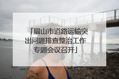眉山市道路运输突出问题排查整治工作专题会议召开