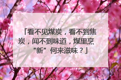 看不见煤炭，看不到焦炭，闻不到味道，煤里烹“新”何来滋味？